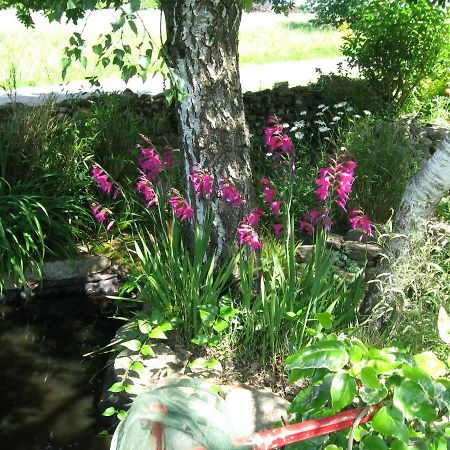 Gites Du Roheran Malansac エクステリア 写真